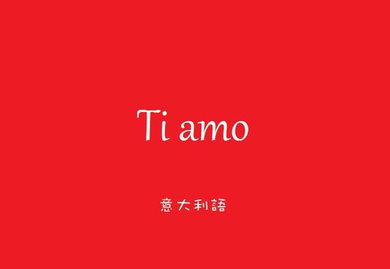 联桥翻译公司：您的专业意大利语翻译伙伴